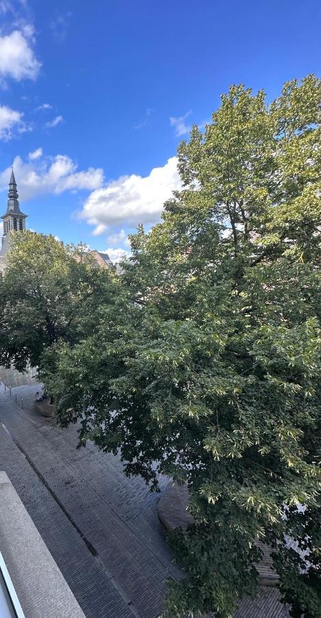 Maurice En Ville N14 Намюр Екстериор снимка
